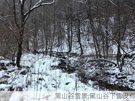 黑山谷雪景,黑山谷下雪没有