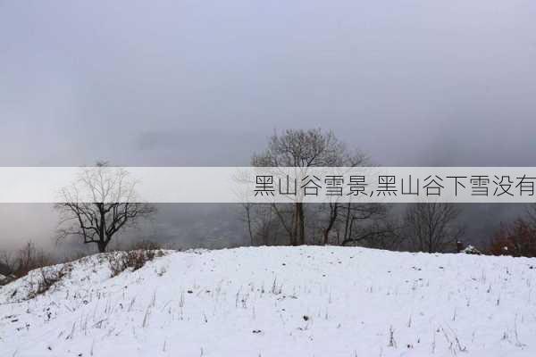 黑山谷雪景,黑山谷下雪没有