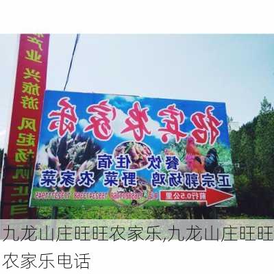 九龙山庄旺旺农家乐,九龙山庄旺旺农家乐电话