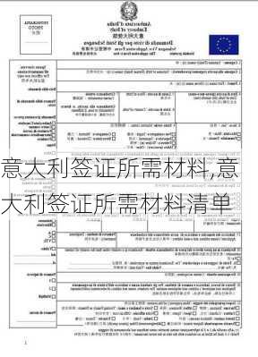 意大利签证所需材料,意大利签证所需材料清单