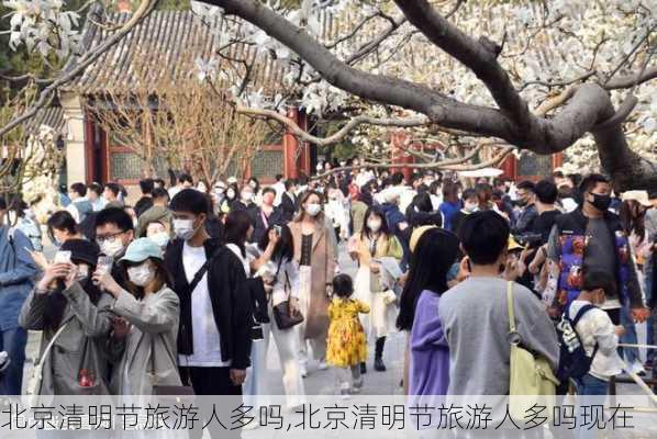 北京清明节旅游人多吗,北京清明节旅游人多吗现在