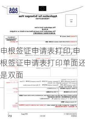 申根签证申请表打印,申根签证申请表打印单面还是双面