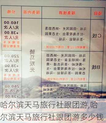 哈尔滨天马旅行社跟团游,哈尔滨天马旅行社跟团游多少钱