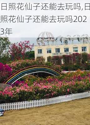 日照花仙子还能去玩吗,日照花仙子还能去玩吗2023年