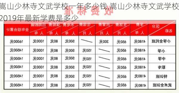 嵩山少林寺文武学校一年多少钱,嵩山少林寺文武学校2019年最新学费是多少