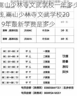 嵩山少林寺文武学校一年多少钱,嵩山少林寺文武学校2019年最新学费是多少