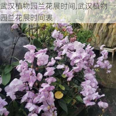 武汉植物园兰花展时间,武汉植物园兰花展时间表