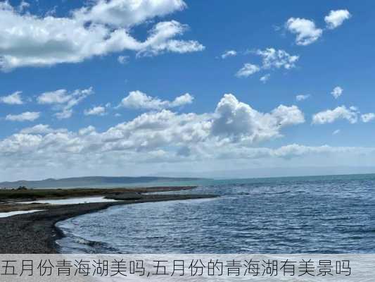 五月份青海湖美吗,五月份的青海湖有美景吗