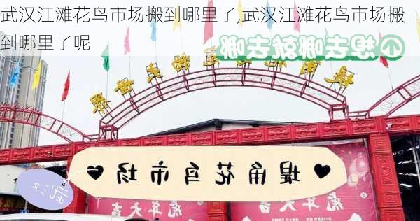 武汉江滩花鸟市场搬到哪里了,武汉江滩花鸟市场搬到哪里了呢