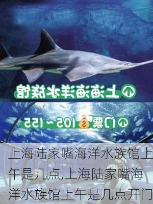 上海陆家嘴海洋水族馆上午是几点,上海陆家嘴海洋水族馆上午是几点开门