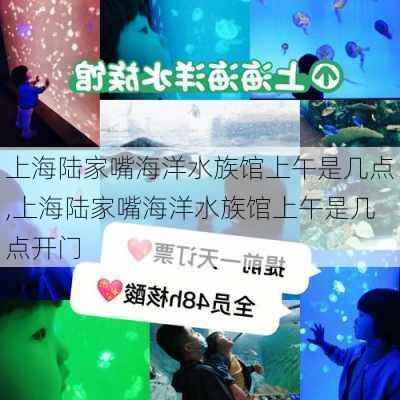 上海陆家嘴海洋水族馆上午是几点,上海陆家嘴海洋水族馆上午是几点开门