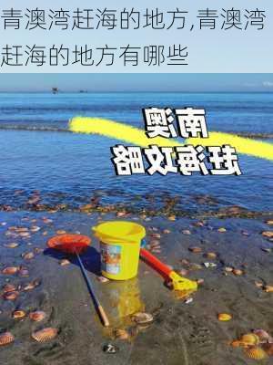 青澳湾赶海的地方,青澳湾赶海的地方有哪些