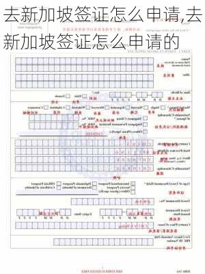 去新加坡签证怎么申请,去新加坡签证怎么申请的