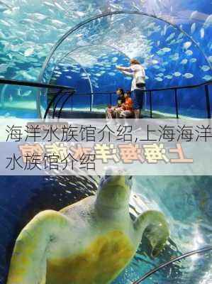 海洋水族馆介绍,上海海洋水族馆介绍