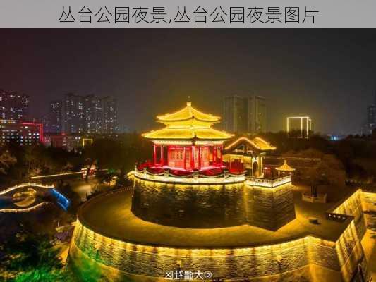 丛台公园夜景,丛台公园夜景图片