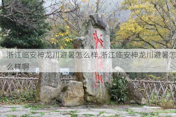 浙江临安神龙川避暑怎么样,浙江临安神龙川避暑怎么样啊