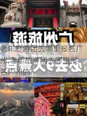 老年旅游团去哪里报名广州,老年旅游团去哪里报名广州的