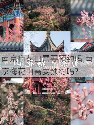 南京梅花山需要预约吗,南京梅花山需要预约吗?