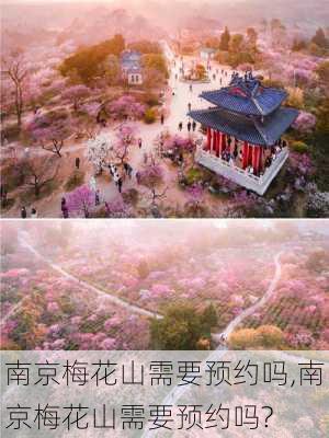 南京梅花山需要预约吗,南京梅花山需要预约吗?