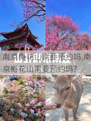 南京梅花山需要预约吗,南京梅花山需要预约吗?