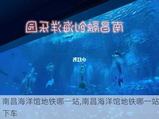 南昌海洋馆地铁哪一站,南昌海洋馆地铁哪一站下车