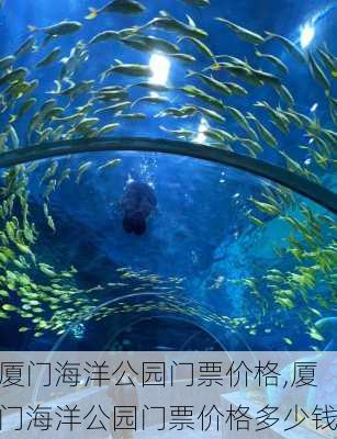 厦门海洋公园门票价格,厦门海洋公园门票价格多少钱