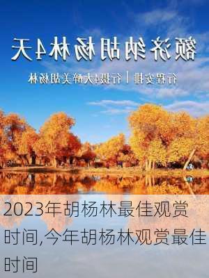 2023年胡杨林最佳观赏时间,今年胡杨林观赏最佳时间