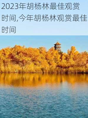 2023年胡杨林最佳观赏时间,今年胡杨林观赏最佳时间