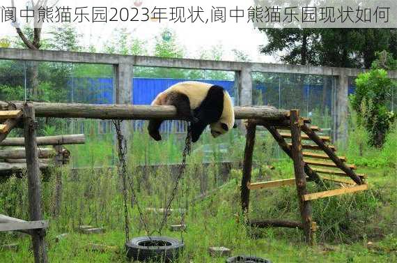 阆中熊猫乐园2023年现状,阆中熊猫乐园现状如何