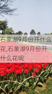 石象湖9月份开什么花,石象湖9月份开什么花呢