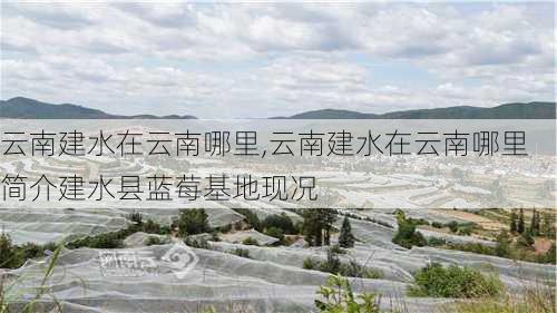 云南建水在云南哪里,云南建水在云南哪里简介建水县蓝莓基地现况