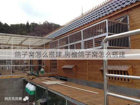 鸽子窝怎么搭建,房檐鸽子窝怎么搭建