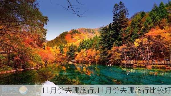 11月份去哪旅行,11月份去哪旅行比较好