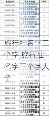 旅行社名字三个字,旅行社名字三个字大全