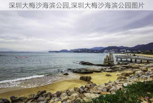 深圳大梅沙海滨公园,深圳大梅沙海滨公园图片