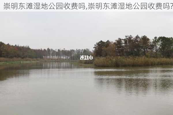 崇明东滩湿地公园收费吗,崇明东滩湿地公园收费吗?