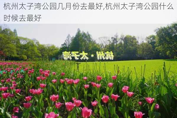 杭州太子湾公园几月份去最好,杭州太子湾公园什么时候去最好