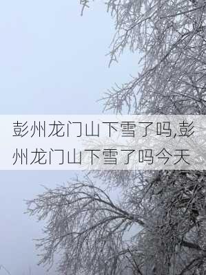 彭州龙门山下雪了吗,彭州龙门山下雪了吗今天