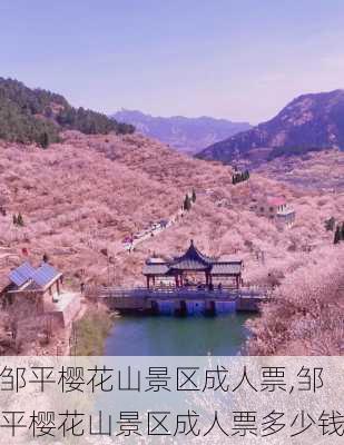 邹平樱花山景区成人票,邹平樱花山景区成人票多少钱