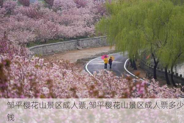 邹平樱花山景区成人票,邹平樱花山景区成人票多少钱