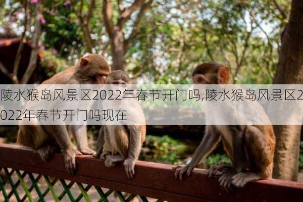 陵水猴岛风景区2022年春节开门吗,陵水猴岛风景区2022年春节开门吗现在