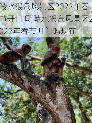 陵水猴岛风景区2022年春节开门吗,陵水猴岛风景区2022年春节开门吗现在