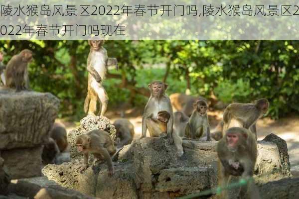 陵水猴岛风景区2022年春节开门吗,陵水猴岛风景区2022年春节开门吗现在