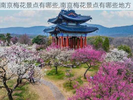 南京梅花景点有哪些,南京梅花景点有哪些地方