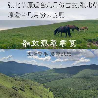 张北草原适合几月份去的,张北草原适合几月份去的呢