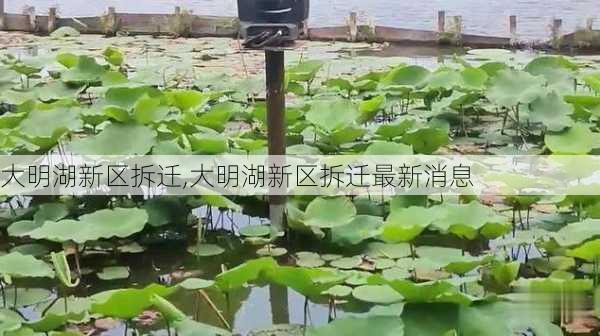 大明湖新区拆迁,大明湖新区拆迁最新消息