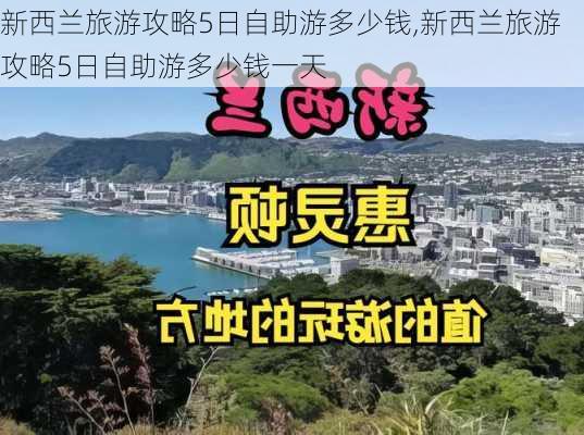 新西兰旅游攻略5日自助游多少钱,新西兰旅游攻略5日自助游多少钱一天