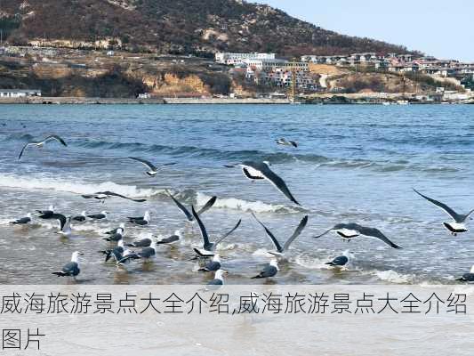 威海旅游景点大全介绍,威海旅游景点大全介绍图片