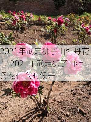 2021年武定狮子山牡丹花节,2021年武定狮子山牡丹花什么时候开