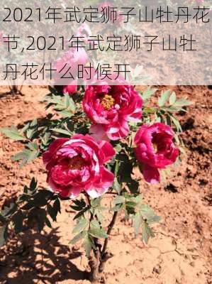 2021年武定狮子山牡丹花节,2021年武定狮子山牡丹花什么时候开